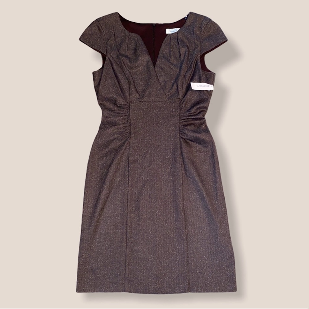 NWT Dressbarn Brown Professional Dress